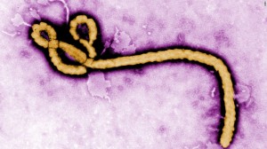 Ebola infected British healthcare staff flown back from Sierra Leone – 4 others under observation