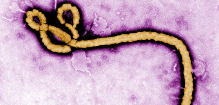 Ebola infected British healthcare staff flown back from Sierra Leone – 4 others under observation