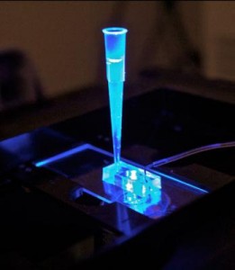 ‘Human heart’ on a silicon chip to aid to screening drugs and much more