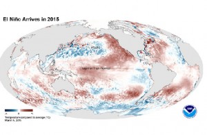 The Comeback of El Niño without preventing drought–stricken Californian regions – Climatologists reports
