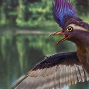 Most primitive ancestor of modern bird’s feathery fossils discovered in China