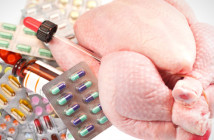 Antibiotics-Meat-solution-br