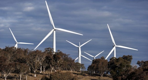 Greenpeace-United-Kingdom-co